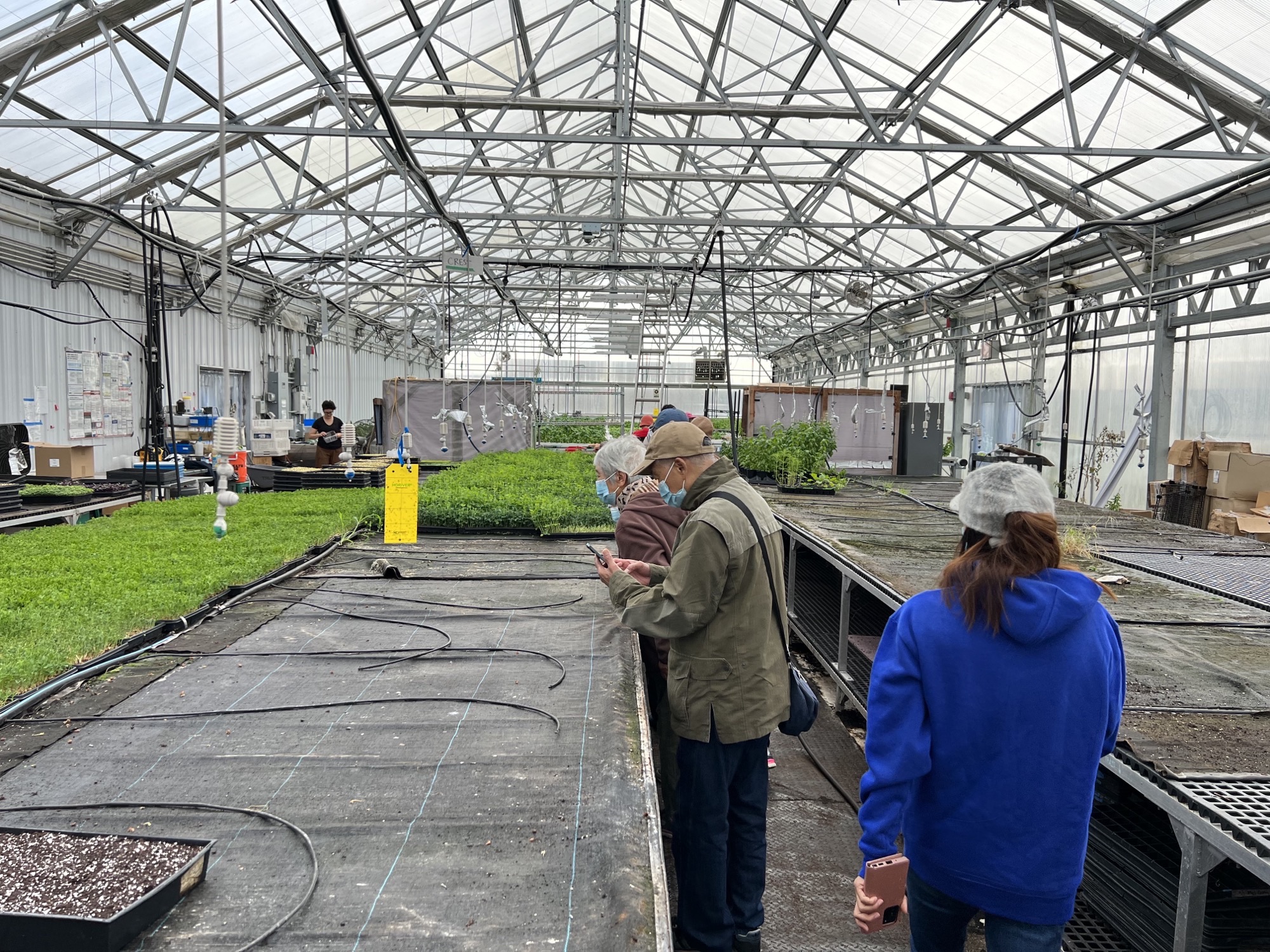 Geriatric Mental Health Initiative (GMHI) tours Brooklyn Grange